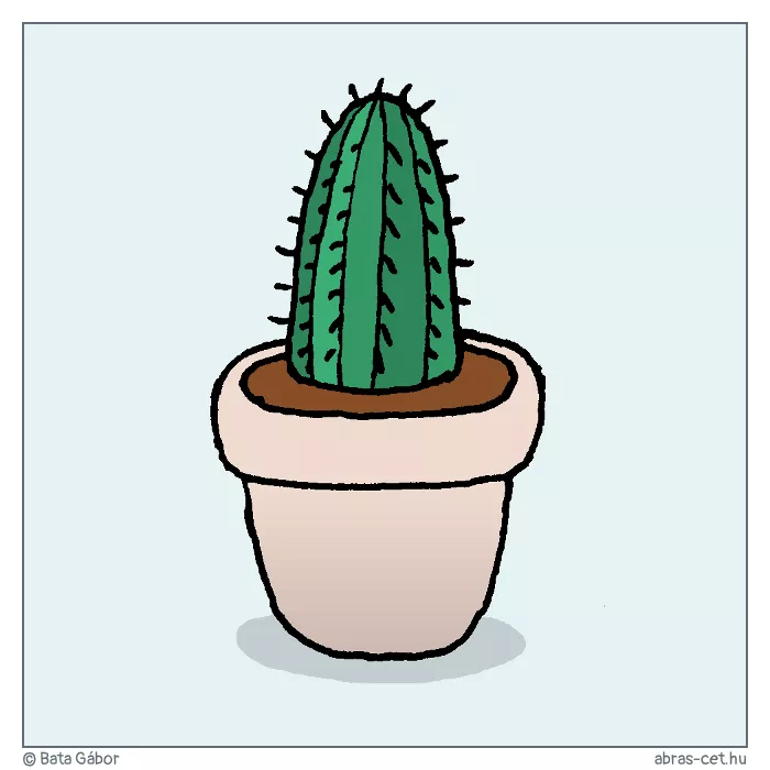 Kaktusz